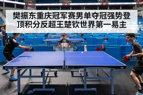 table tennis match action